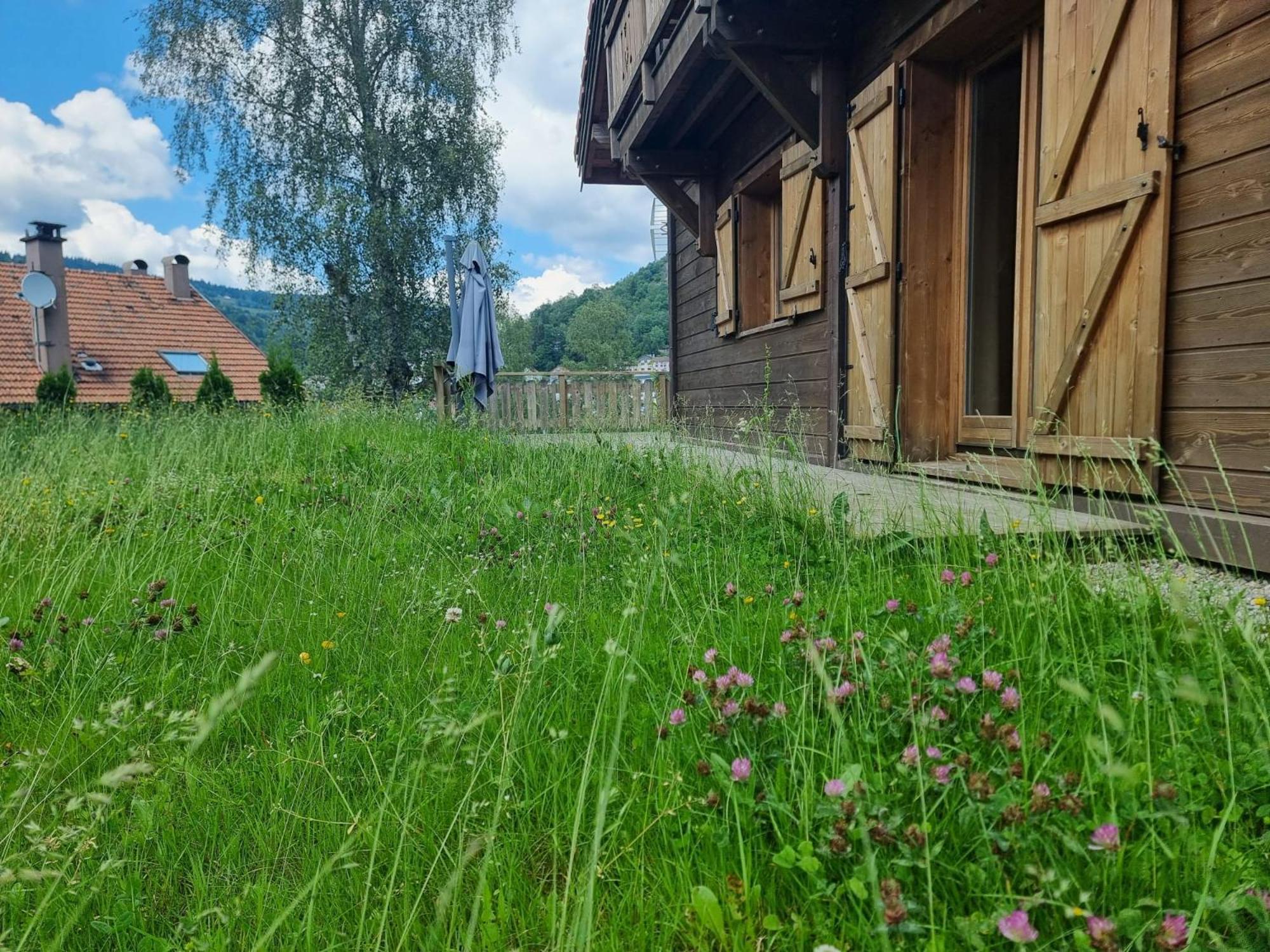 Le Chalet Du Pere Michel, Jacuzzi, Sauna, Jardin La Bresse Luaran gambar
